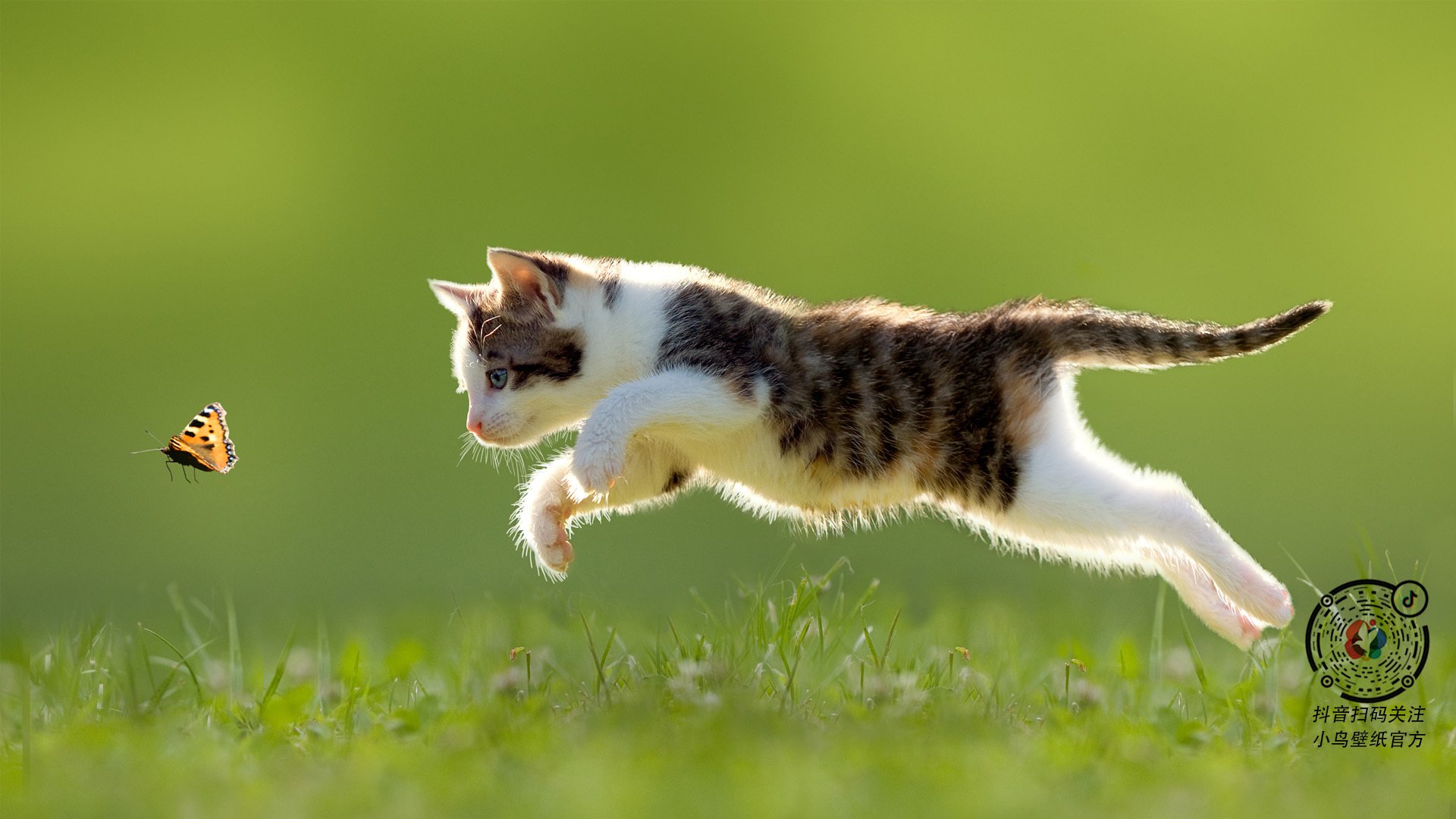 世界杯燃情瞬间：每个进球都载入史册，世界杯经典瞬间