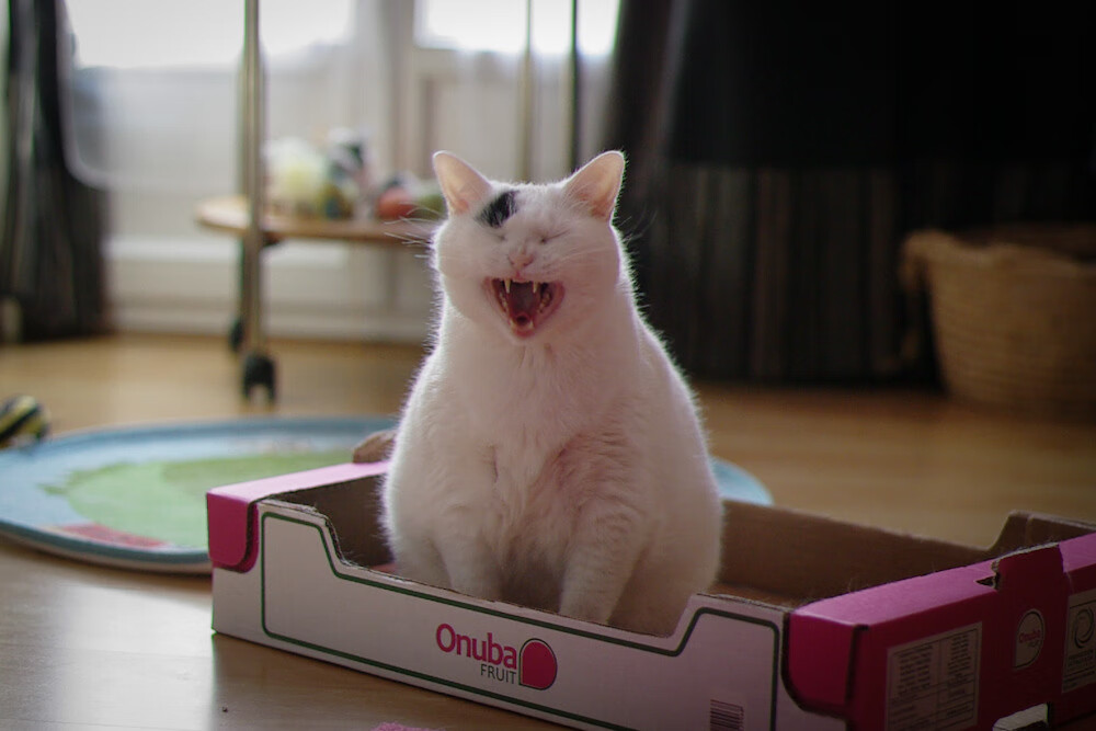 中小学篮球注重培养运动兴趣促进健康生活，中小学生篮球培训方案